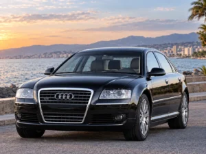Audi A8 W12 black luxury sedan front view parked by a waterfront at sunset